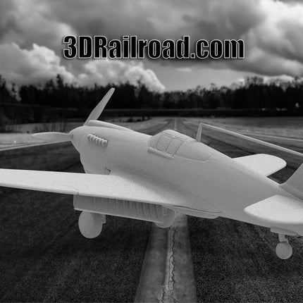 P40  - Planes - Custom Sculptures 3D Printed in Clear Resin
